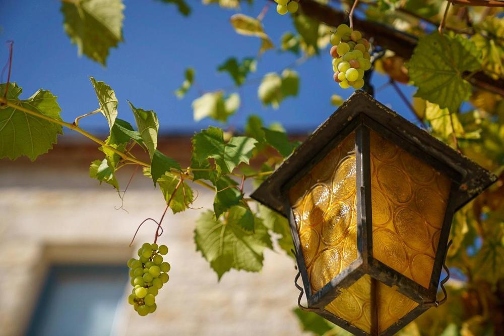 Cazoules Chateau Du Raysse 빌라 외부 사진
